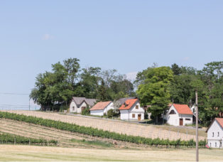 Landschaftsplanung beim Planungsbüro Raumplanung - Stadtplanung in Stillfried